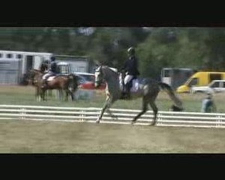 Montpellier Lattes CCE CL2 dressage