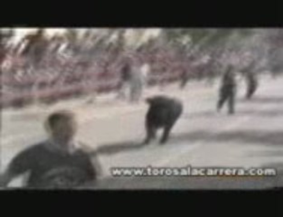 Encierros Torrejon de ardoz 2004