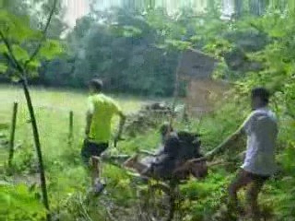 DSCN3674