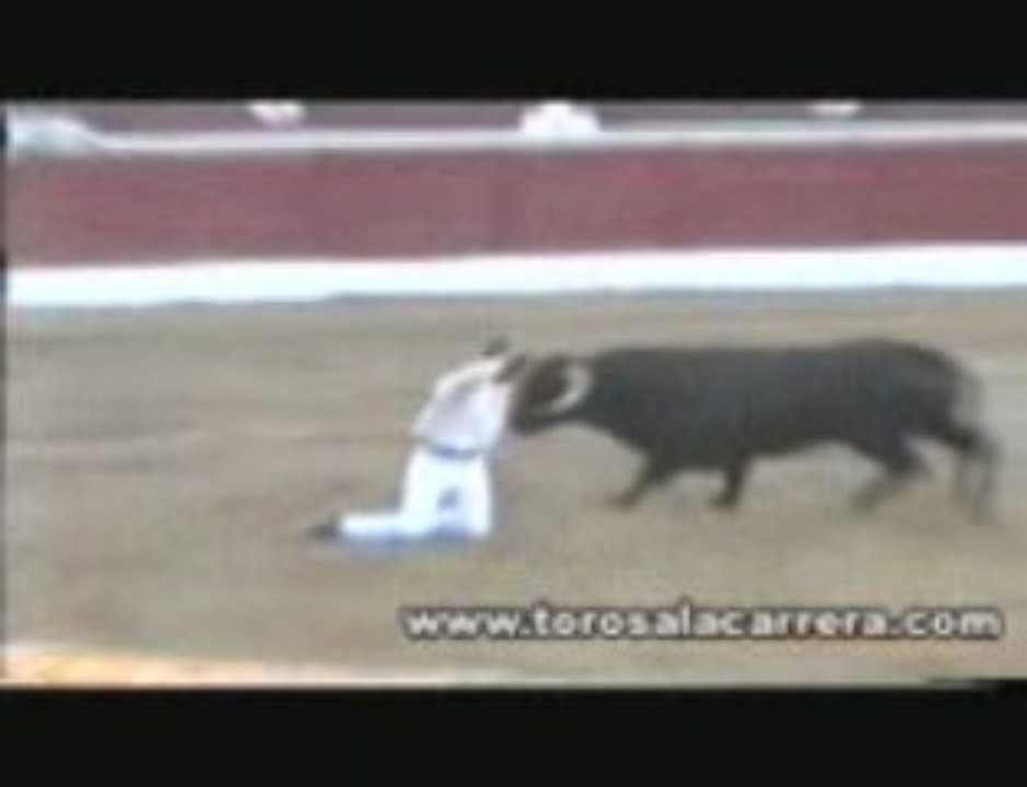 Torrejon de Ardoz concurso 2004