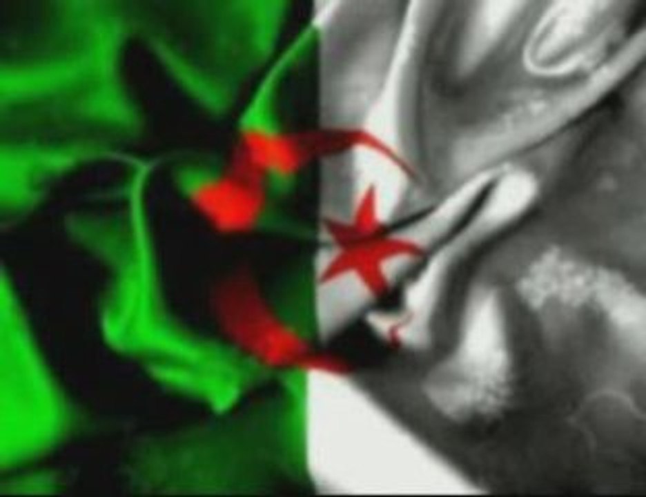 cheba zizi 2: chaoui