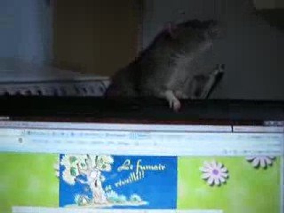 Khéops fait le curieux!