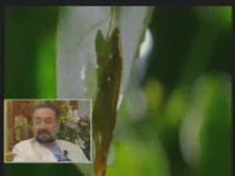 CELAL HOCA EĞİTİMDE - DERS 38