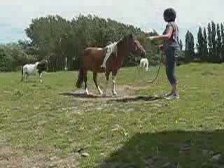 Vizir et Coline en TAP