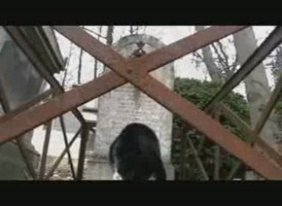 BLACK CAT