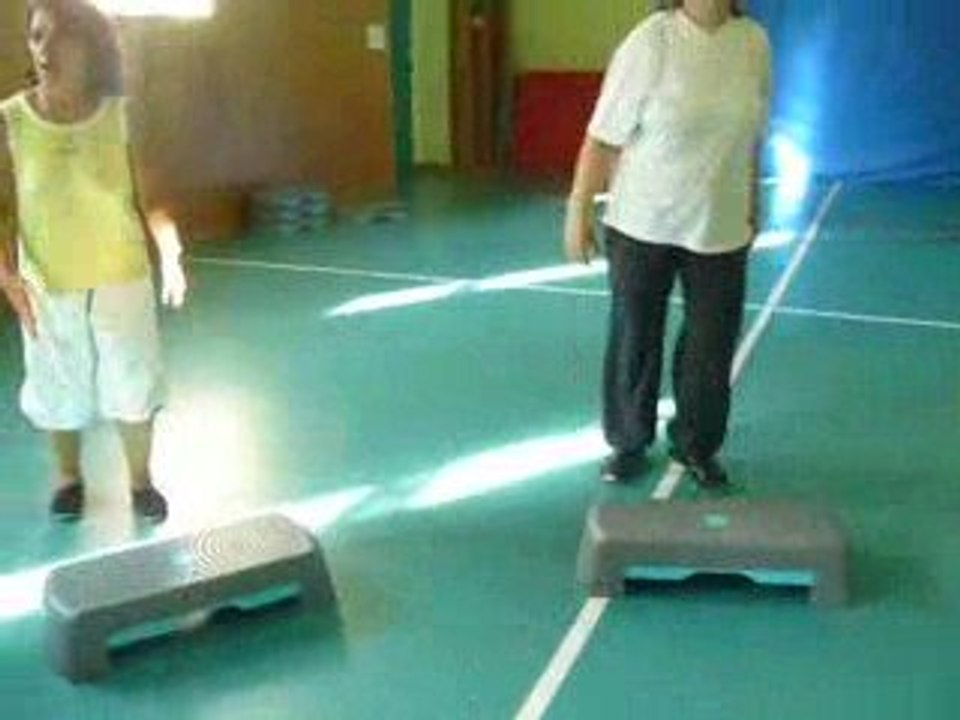 GYM ACSB Buzançais saison 2008-2009 (stepp cercle)