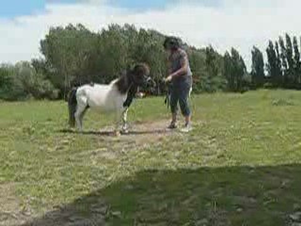 Pinpin et Coline en TAP