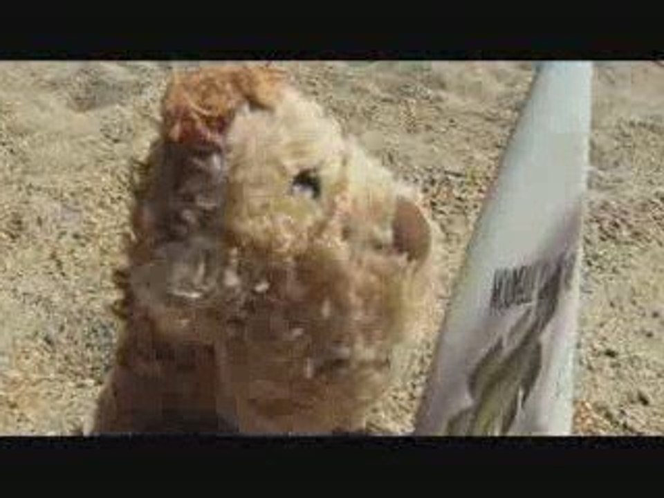 Les aventures de Minus. Episode 5 "MINUS ET LE SURF"