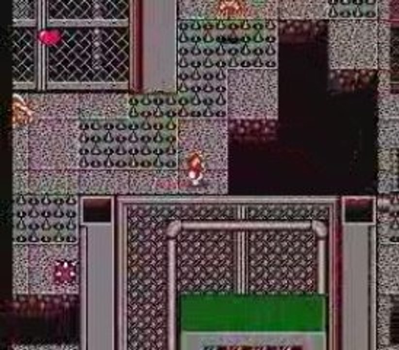 Gremlins 2 - The New Batch (NES)