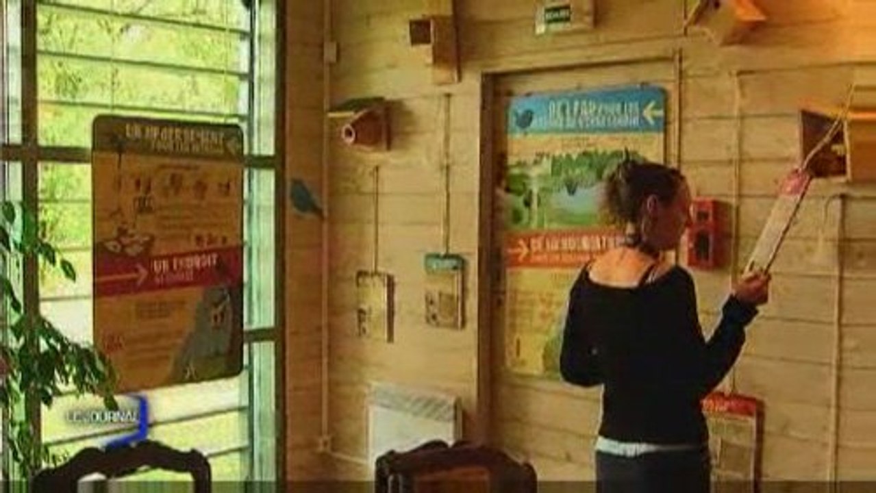 Les Landes Génusson : Exposition sur les passereaux