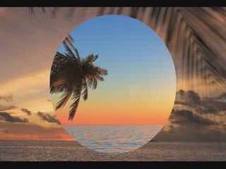 Natural Stress and Insomnia Remedy!