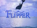 Flipper 1995 Générique