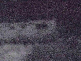 Analisis detallado el fantasma de la mujer de blanco