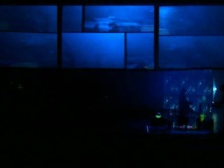 The Fluor Experiment