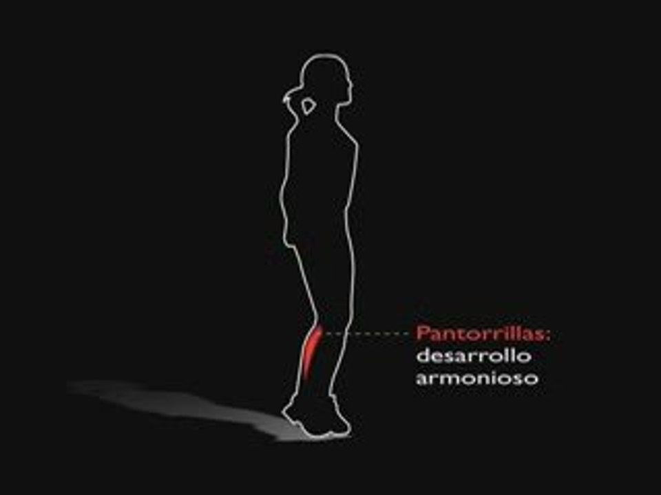 excellerator espagnol