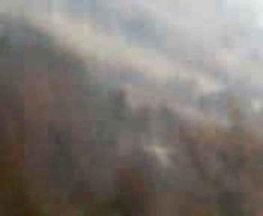 chasse st vincent de barres texan au ferme