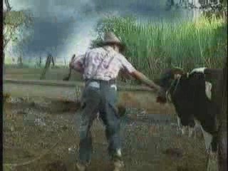 bundan büyük yanlış anlaşılma olmaz - komedi