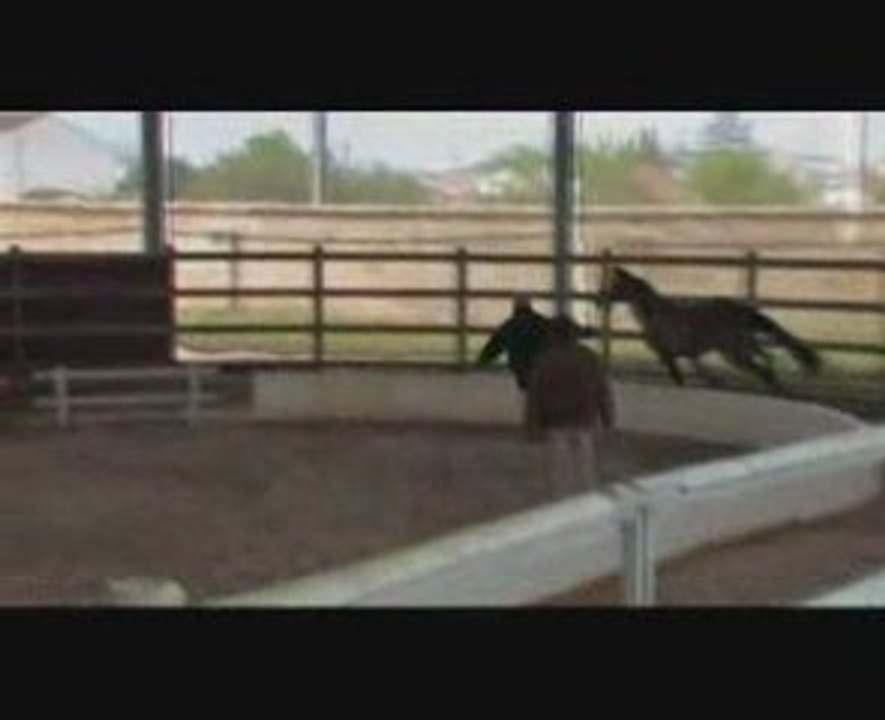 tabata de la treille