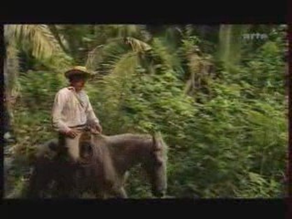 Le Déclin des Mayas 1