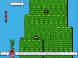 Super Mario Bros. 2 (NES)