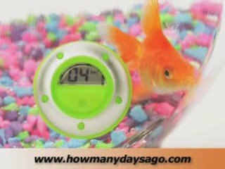 How do you remember to give pets their monthly medications?