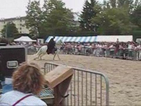 centre équestre andilly