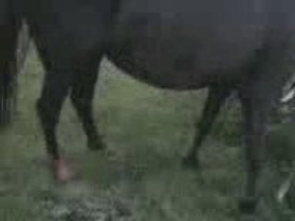 !!!! Viesékael a un quart d'heure de vie!!!!!!