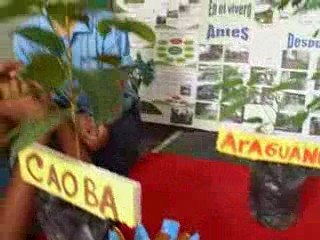 Vocero Ecológico del Liceo Teresa carreño