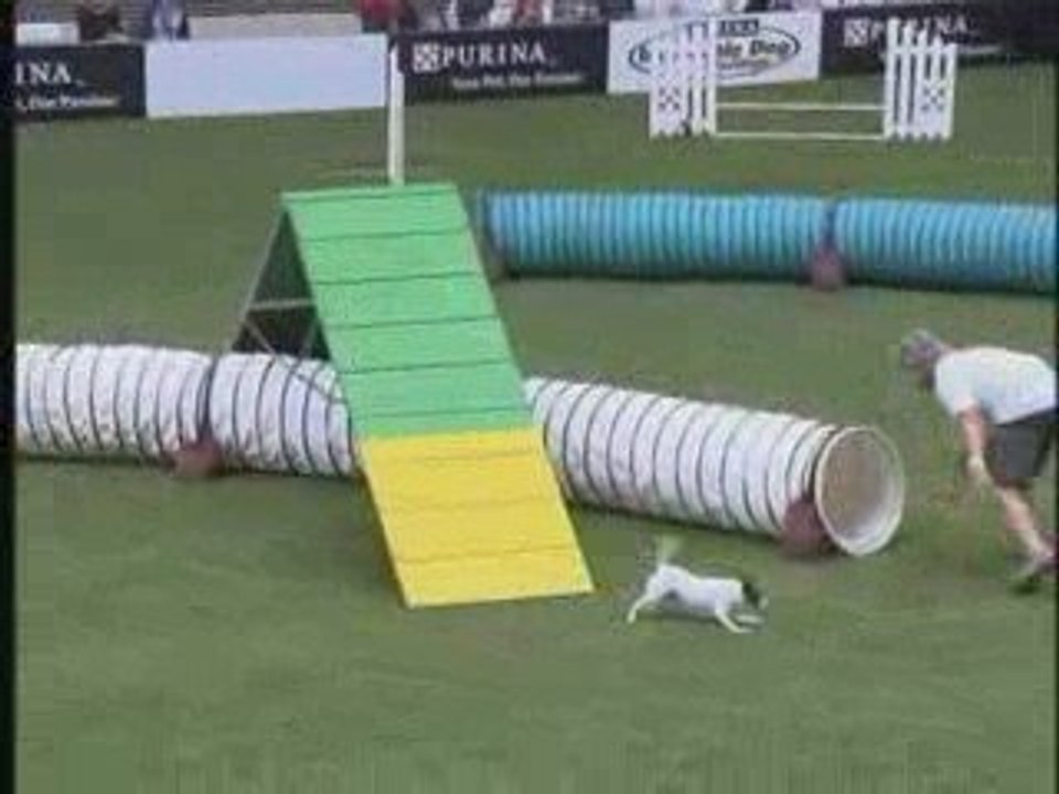 2009 Purina Incredible Dog Challenge in San Diego, CA