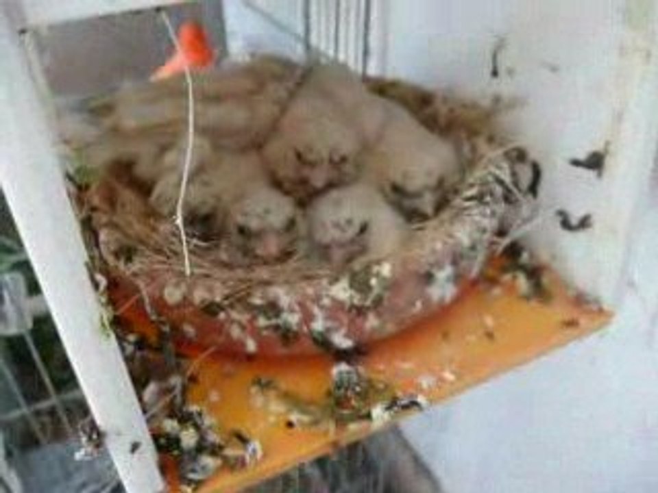 jeanluc 6 fevrier 2009 041