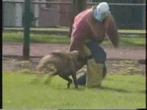 Tonnerre des Loups Mutins