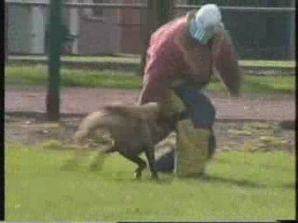 Tonnerre des Loups Mutins