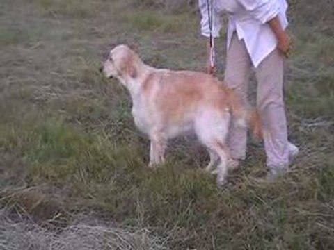canel foin 19 juin 2009