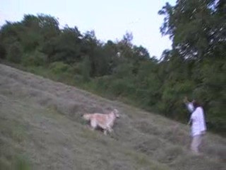 canel foin 19 juin 2009 (2)