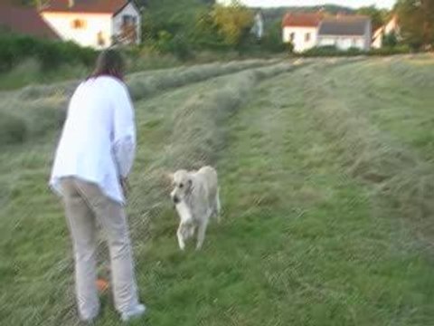 canel foin 19 juin 2009 (4)