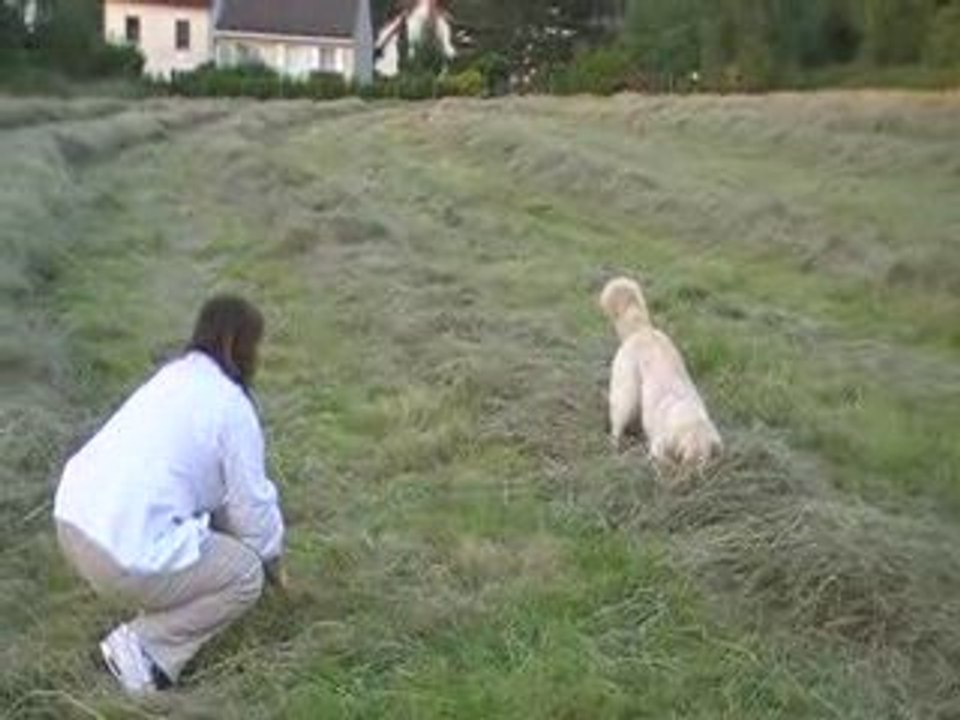 Da��ka foin 19 juin