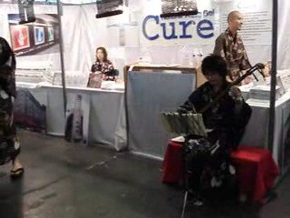 passion-japan : japan expo 2008 joueur de shamisen