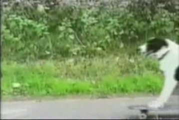 320Amazing Moments On Bicycles