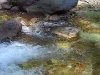 BAIGNADE PENDANT TREKKING EN ARUNACHAL PRADESH (INDE)