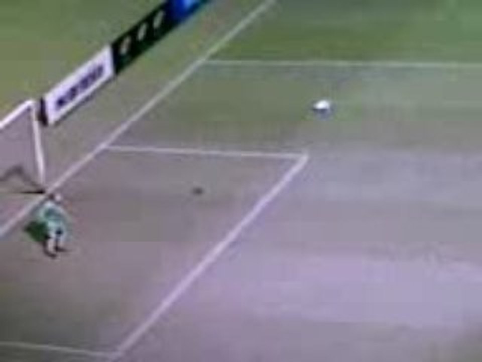fifa 09: barre + goal de 50 M