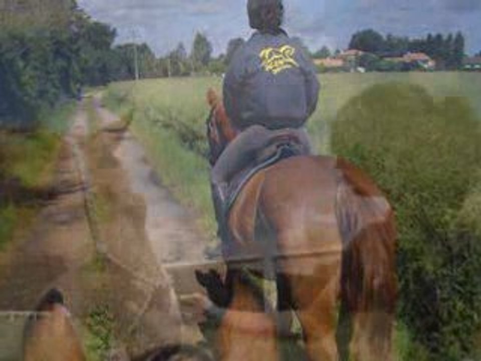 équitation 2008 2009
