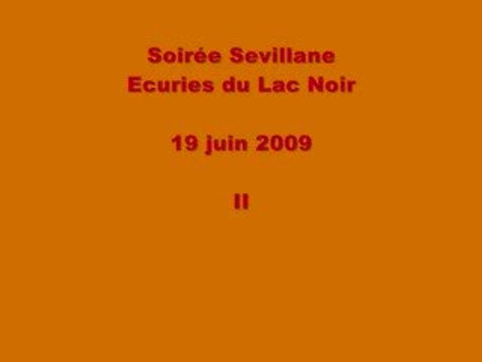 Soirée Sevillane - Ecuries du Lac Noir - 19 juin 2009  - II