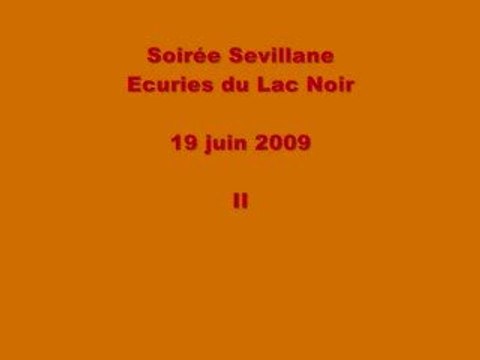 Soirée Sevillane - Ecuries du Lac Noir - 19 juin 2009 - II