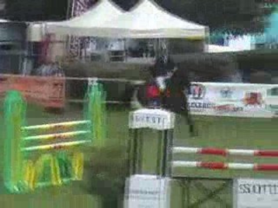 Miss, Pro I Elite Surgeres