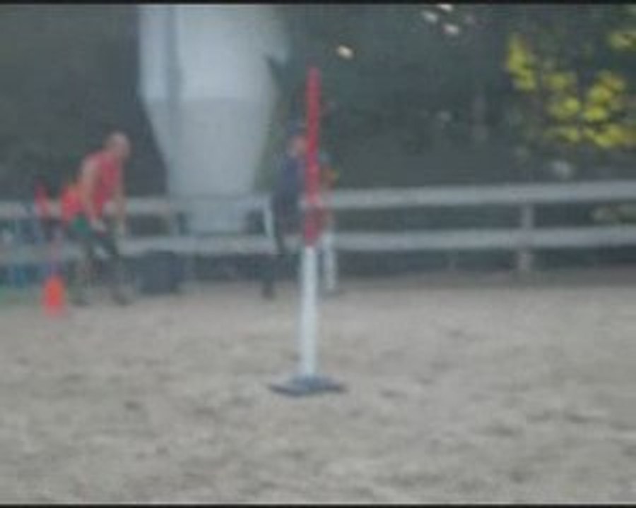 SDC14704
