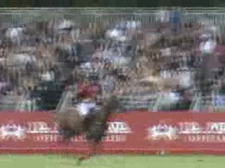 the perfect polo match