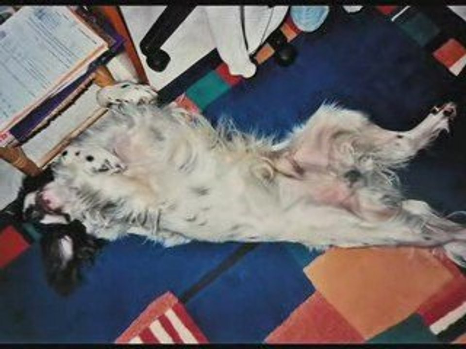 Boby