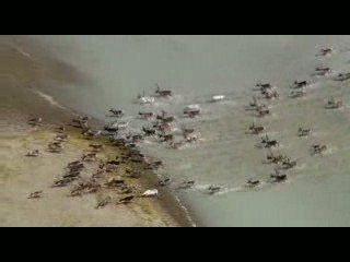 Documental HOME Español (España) (Juan Echanove) parte6