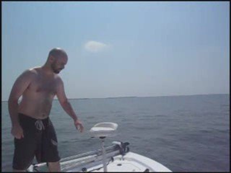 Dive Hard