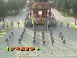 Shi de yang shaolin kung fu 1 extrait